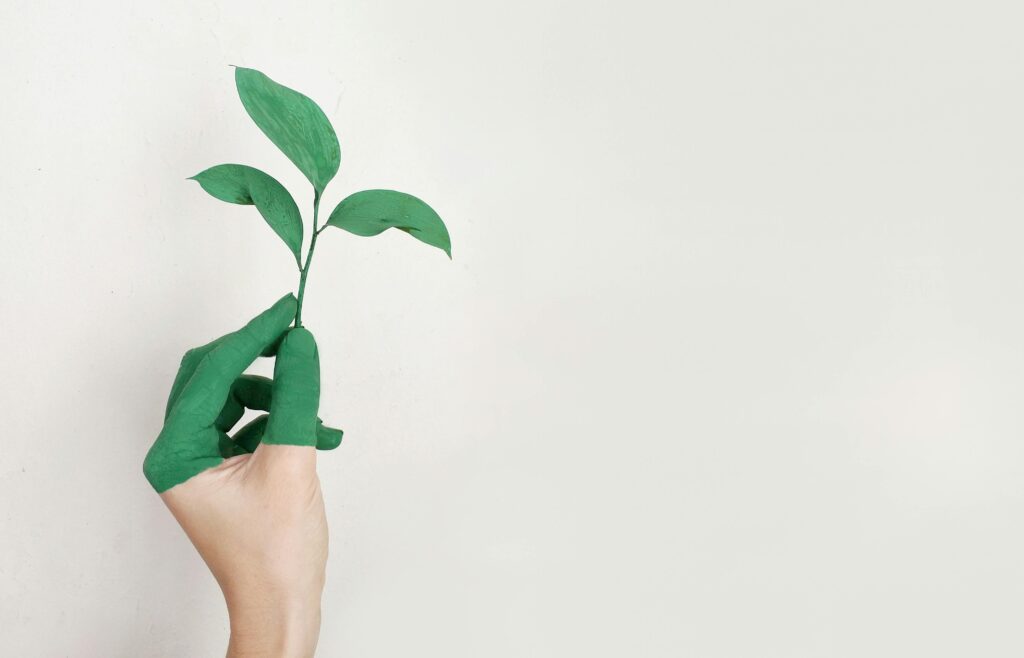 A hand painted green holds a fresh plant sprout against a light background, symbolizing growth and sustainability.